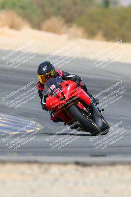 media/Apr-10-2022-SoCal Trackdays (Sun) [[f104b12566]]/Turn 10 (1pm)/